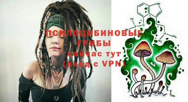 стафф Кодинск