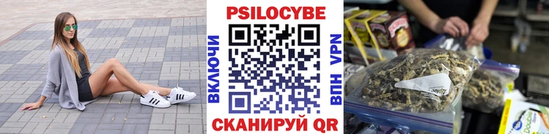 Галлюциногенные грибы Psilocybe  KRAKEN онион  Собинка 